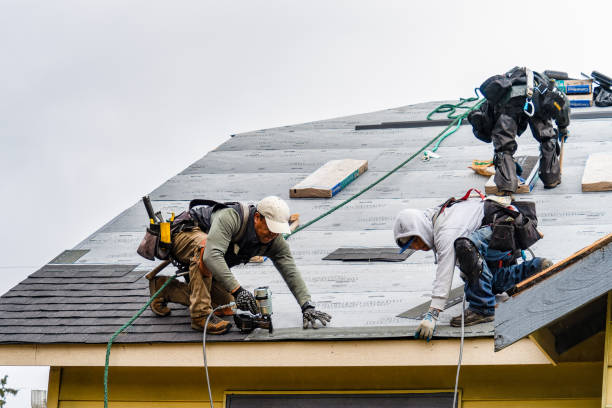 Professional Storm Damage Roof Repair technician working in Marshall, MO